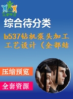 b537鉆機(jī)泵頭加工工藝設(shè)計(jì)（全部結(jié)清）