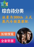 流量為300th 立式蒸汽冷凝器裝配圖