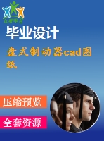 盤(pán)式制動(dòng)器cad圖紙